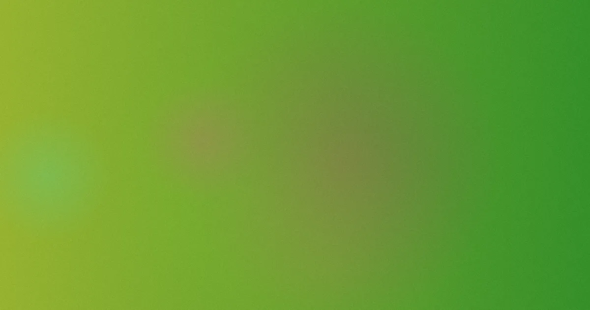 b站网站是什么？四组对比讲明白
